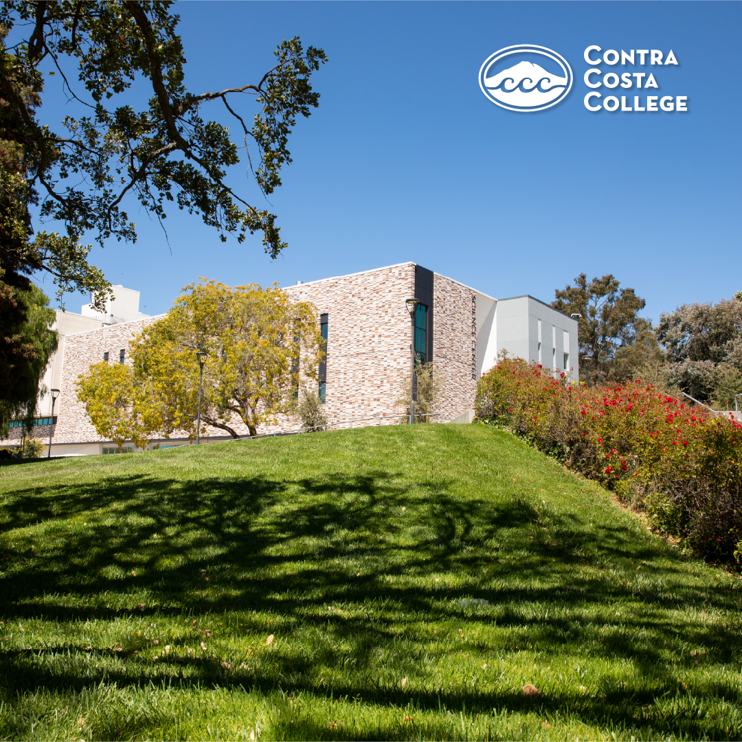 campus view with large green lawn in forground